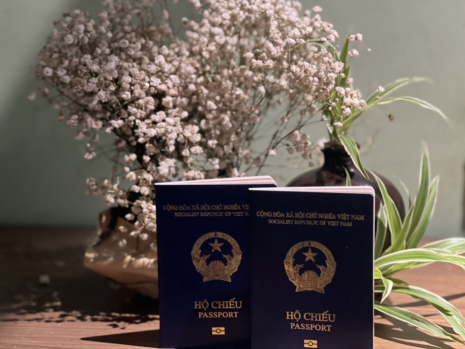 thủ tục làm hộ chiếu online